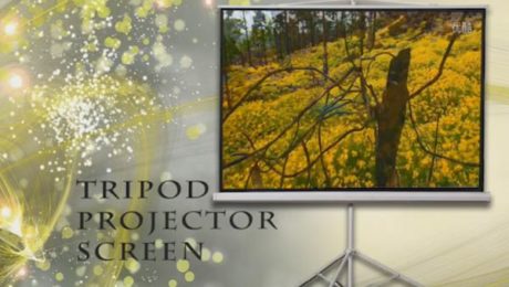 folding projector screen